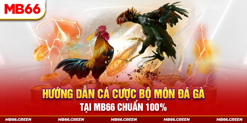 vm88 xổ số bình định