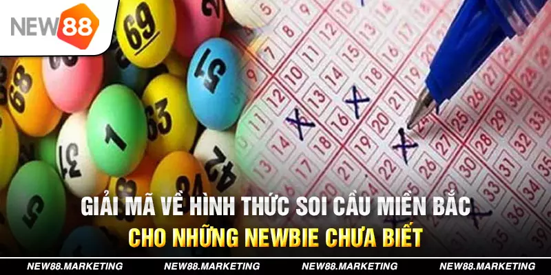 vm88 đăng nhập mậu binh live