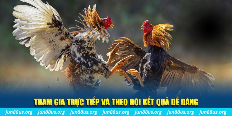 vm88 đá gà trực tiếp bình luận viên
