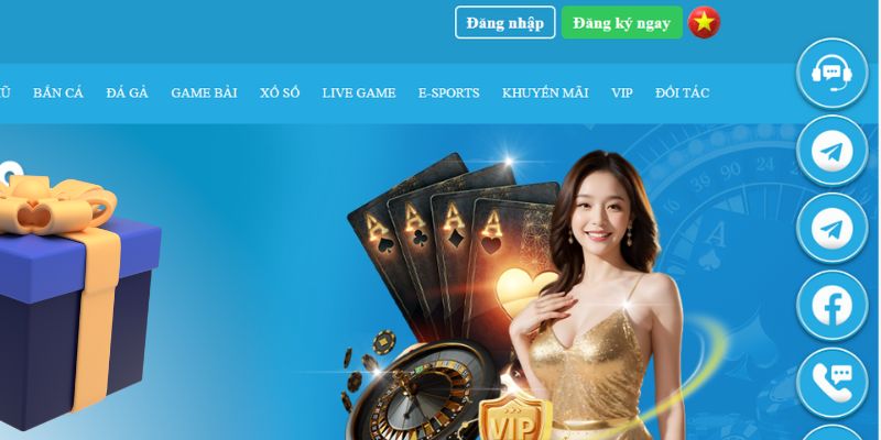 vm88 slot là gì dịch