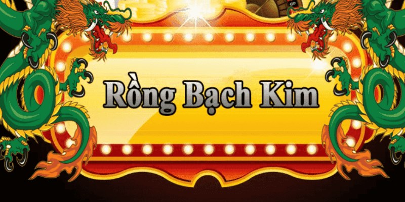 vm88 đăng nhập roulette 2025