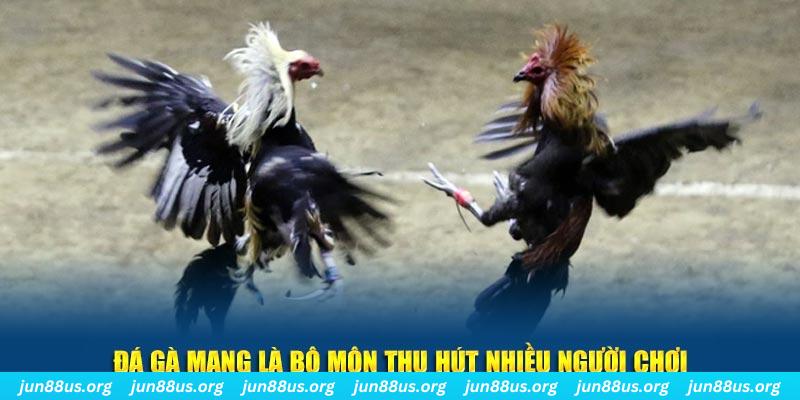 vm88 xổ số cà mau