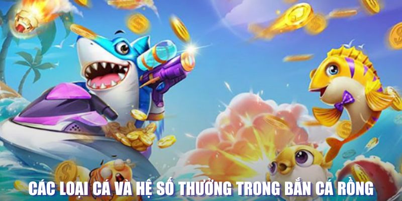 vm88 loi game dot kich ket noi may chu that bai