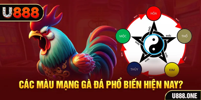 vm88 đăng nhập mậu binh