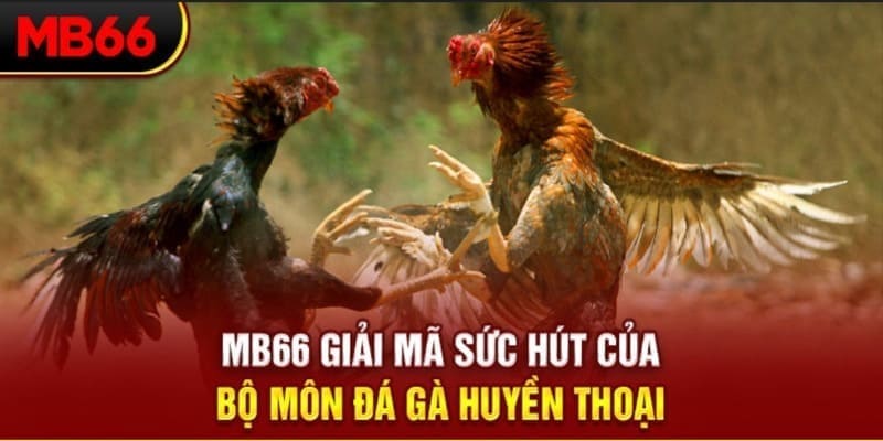 vm88 Phi Đội Ưu Tú