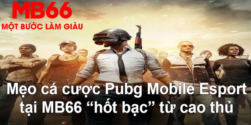vm88 gà chọi mộc hóa