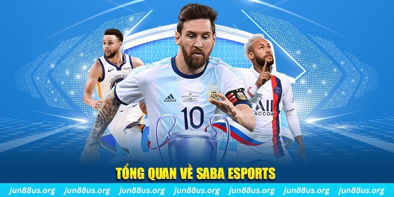 vm88 gà chọi c1 tv trực tiếp hôm nay